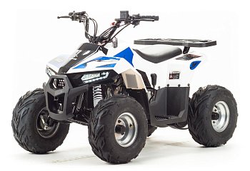 Квадроцикл MOTOLAND EAGLE 110