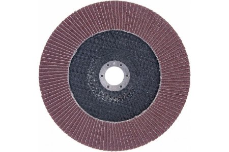 Круг лепестковый торцевой EDGE by PATRIOT 180мм*22,23мм*Р80