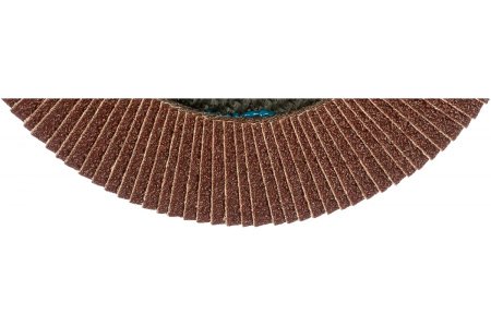 Круг лепестковый торцевой EDGE by PATRIOT 180мм*22,23мм*Р60