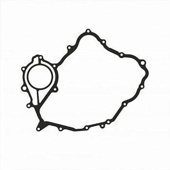 157404757_w640_h640_prokladka-levoj-kryshki